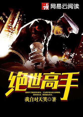 以终焉盗神白银之王的名义